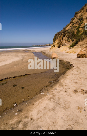 Neue Jahre Creek Ano Nuevo als es betritt Ozean an Ano Nuevo State Reserve San Mateo Küste California südlich von San Francisco. Stockfoto