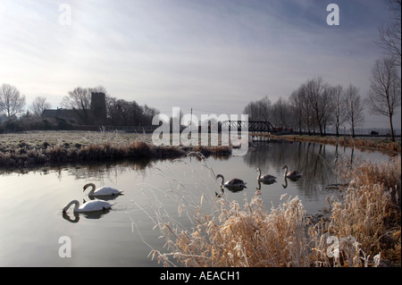 Der Fluß Waveney im Winter Stockfoto
