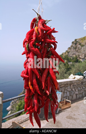 Straßenhändler mit Paprika auf dem Weg nach Positano in Costiera Amalfitana-Amalfi-Küste in der Region Kampanien Italien Stockfoto