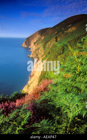 Blick vom Countisbury Hill über Bucht Exmoor National Park England Großbritannien GB Europa Stockfoto