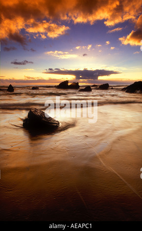 Whitsand Bay Cornwall England England Europa Stockfoto