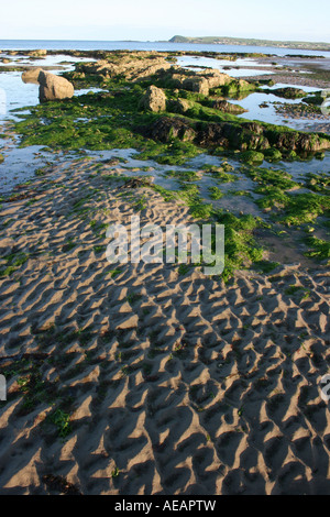 Muster in den Sand in der Abenddämmerung am Strand von Clonmea Bay in der Nähe von Dungarvan, County Waterford, Irland Stockfoto