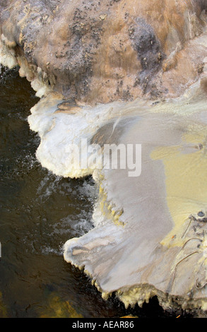 Salze und Schwefel Ablagerungen auf den Felsen von Geysir Rotorua Neuseeland Stockfoto