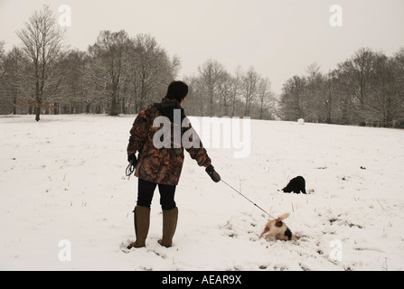 Fuß die Hunde im Schnee Stockfoto