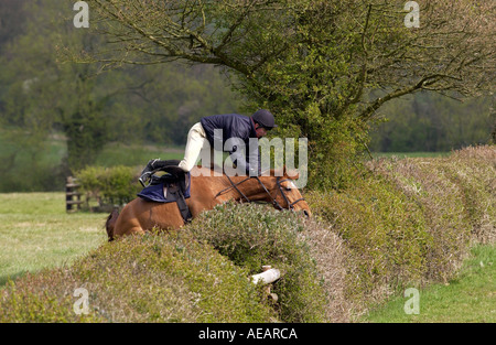 Junge Reiter vom Pferd geworfen, wenn er sich weigert, Absicherung bei equine Veranstaltung Oxfordshire England springen Stockfoto