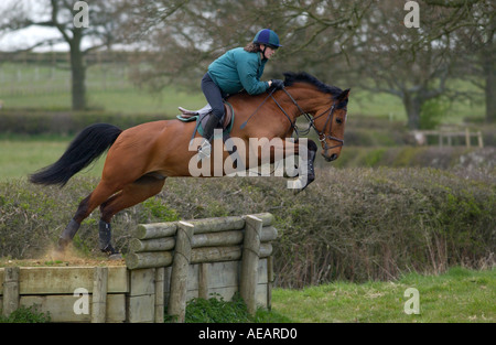 Junge Fahrer auf einem Langlauf-Kurs in Oxfordshire-England mit Pferd namens Travis eine Cleveland Bay kreuzen Vollblut Stockfoto