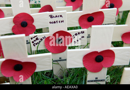 Holzkreuze und Mohn im Feld der Erinnerung in der Westminster Abbey Gedenken an die getöteten inbattle Stockfoto