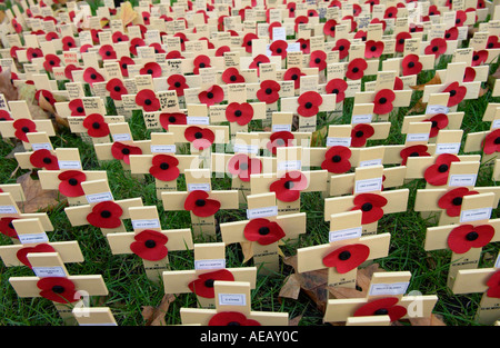 Kreuze und Mohn im Feld der Erinnerung in der Westminster Abbey zum Gedenken an die Gefallenen in der Schlacht Stockfoto