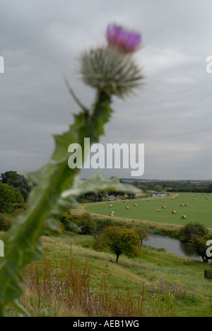 Blick vom Schloss-Hügel in Fotheringhay Northamptonshire UK Stockfoto