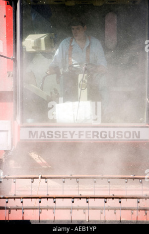 Feldhäcksler Weizen ernten in der englischen Landschaft kombinieren Stockfoto