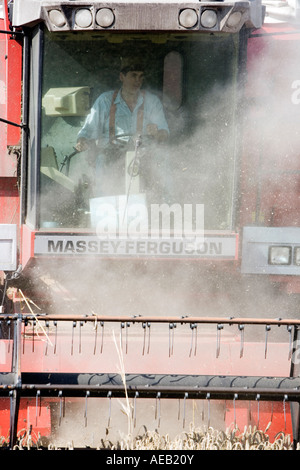 Feldhäcksler Weizen ernten in der englischen Landschaft kombinieren Stockfoto