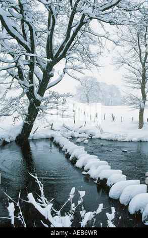 Trittsteine über den Fluß Rothay in Rydal, Ambleside, Lake District, Großbritannien Stockfoto