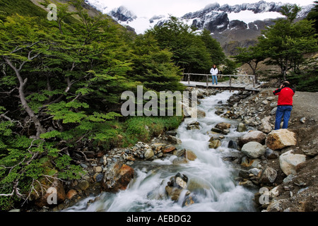 Gebirgsbach Tierra Del Fuego Argentinien Südamerika Stockfoto