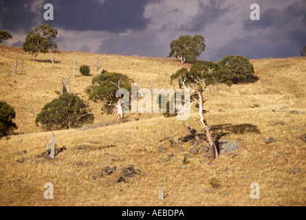 Hang mit Gewitterwolken südlichen Tablelands NSW Australia Stockfoto
