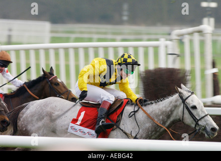 JOCKEY RICHARD JOHNSON REITEN ROOSTER BOOSTER IN DIE TOTE GOLDTROPHÄE HÜRDENRENNEN IN NEWBURY RACECOURSE ENGLAND Stockfoto