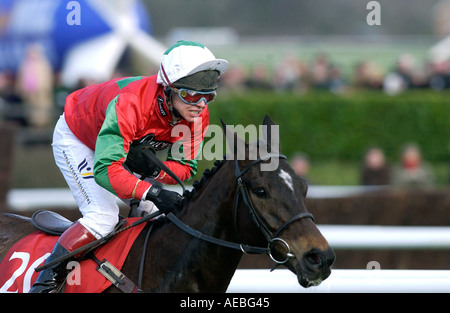 Jockey Richard Johnson Rennen Reitpferd Jimmy Tennis in der Royal and Sun Alliance Chase beim Cheltenham Festival Stockfoto