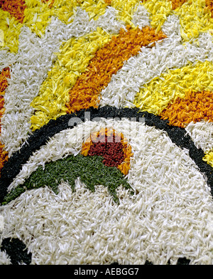 Blumen-Arrangement genannt Pookkalam getan anlässlich Onam feiern in Kerala, Indien Stockfoto