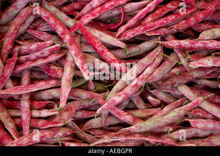 Fagioli Borlotti Bohnen auf einem Markt, Nahaufnahme Stockfoto