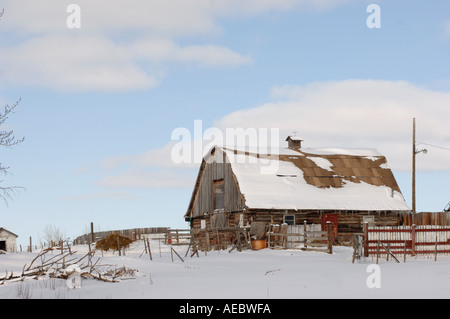 Schneebedeckte verfallenen Scheune in Alberta, Kanada Stockfoto