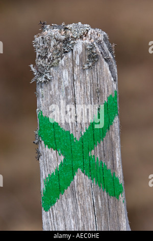 Gemalten Markierungen auf einem Pfosten (Puy de Dôme - Frankreich).  Marquage à la Peinture Sur un Poteau (Puy de Dôme - Frankreich). Stockfoto