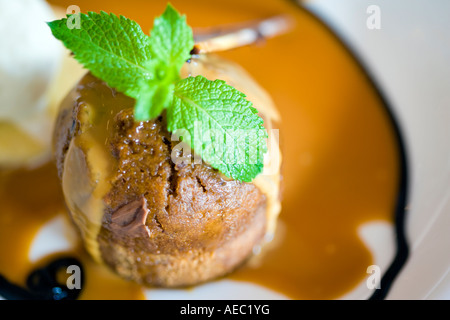 MAKRO-BILD DER STICKY TOFFEE PUDDING Stockfoto