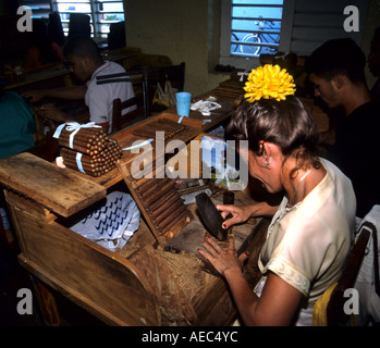 Pinar de Rio Kuba kubanischen Tabakanbau Bauernhof Zigarre Zigarren Plantage Blatt Blätter Herstellung Werk Fabrik Frau Mann Roll Rollen Stockfoto