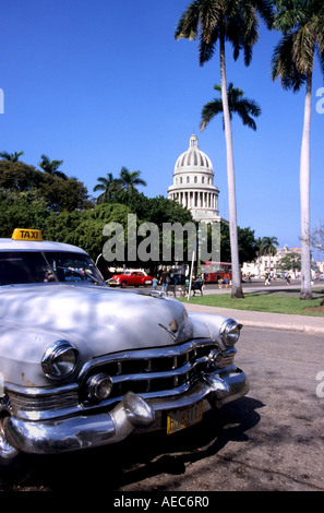 Havanna-Autos Oldtimer Transport Taxi Classic American Public Transport Oldtimer Stockfoto