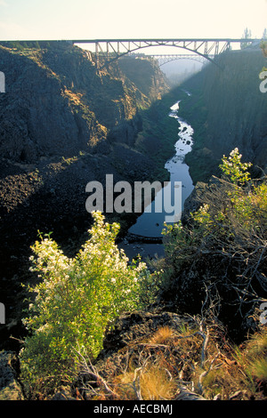 Elk255 6494 Oregon Peter Skene Ogden SP Crooked River Gorge übersehen Stockfoto