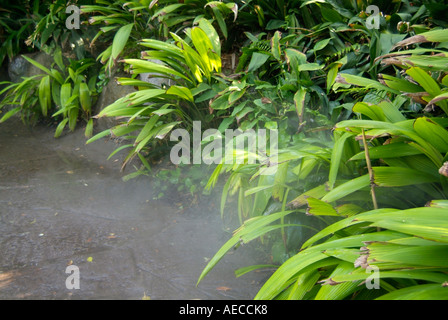 Sprinkler Beregnung Bewässerung Bewässerung Wasser H2O Stockfoto