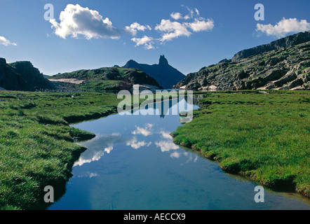 Reflexion von Lizard Head Peak im Pool im oberen Bilk Bach Entwässerung im San Miguel Berge, San Juans, Colorado, USA Stockfoto