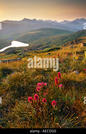 Highland Mary Seen Gebiet in der Nähe von Silverton, San-Juan-Gebirge, Weminuche Wilderness, Colorado Stockfoto