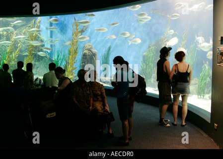 Besucher im Melbourne Aquarium, Victoria, Australien. Stockfoto