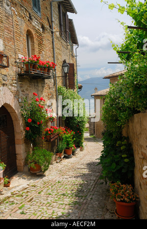 Blick auf Clitumnus Tal aus engen kopfsteingepflasterten Gasse in Montefalco Umbrien Italien mit Topfblumen Stockfoto