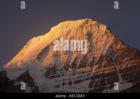 Mt Robson von Marmot Camp am Berg Lake Trail, Sonnenaufgang, Mount Robson Provincial Park, Rocky Mts, British Columbia, Kanada Stockfoto