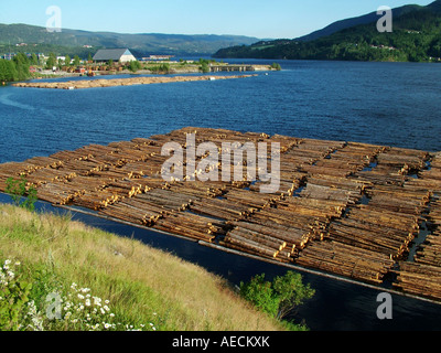 Stämme auf dem Wasser, Norwegen Stockfoto