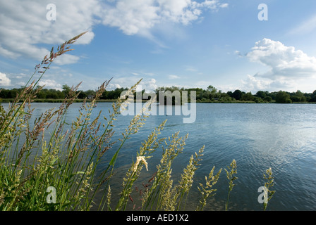 Lough Neagh, Nordirland Stockfoto