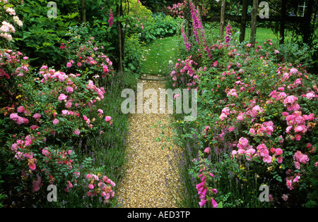 Frith Lodge Strauchrose Sussex Doppelrand Lavendel Kies Weg Rosa Pink Glocken Stockfoto