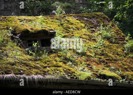 Bewachsenen Dach des verfallenen Haus im Garten von Schloss Bran, Kleie, in der Nähe von Brasov, Siebenbürgen, Rumänien Stockfoto