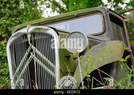 Nahaufnahme von einem alten Citroën-LKW im Gebüsch in der Nähe ein Hotel in den Niederlanden aufgegeben Stockfoto