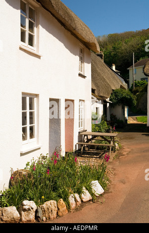 UK Devon innere Hoffnung Vorgarten von Reetdachhaus auf dem Dorfplatz Stockfoto