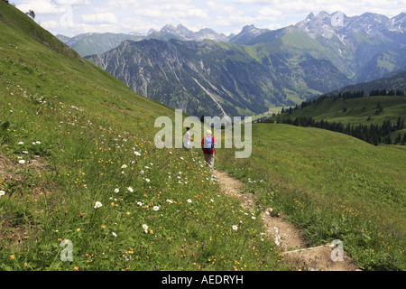 Ein Spaziergang durch die Blume gefüllt Wiesen in den Bayerischen Alpen-Fellhorn Stockfoto