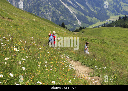 Ein Spaziergang durch die Blume gefüllt Wiesen in den Bayerischen Alpen-Fellhorn Stockfoto