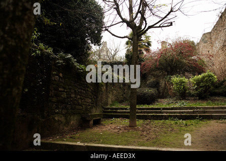 Alte Bäume und Pflanzen außen Stadtmauer in alten mittelalterlichen Mauern umgebene Stadt Dinan Bretagne Frankreich Europa Stockfoto