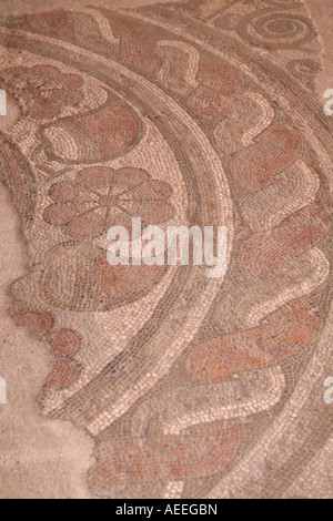 Blume und Blatt Bodenmosaiken an Fishbourne Roman Palace, Sussex, England Stockfoto