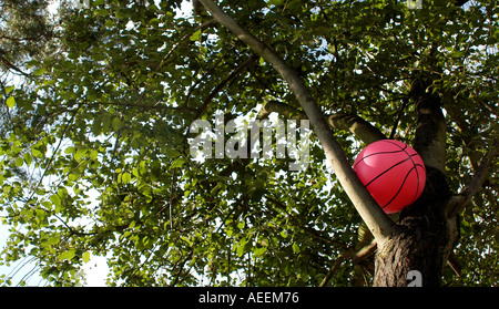 Ball im Baum. Bild von Patrick Steel patricksteel Stockfoto