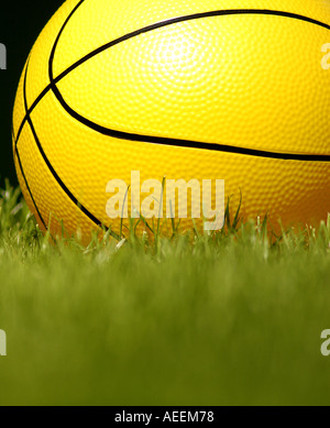 A Basketball Basketball auf dem Rasen. . Bild von Patrick Steel patricksteel Stockfoto