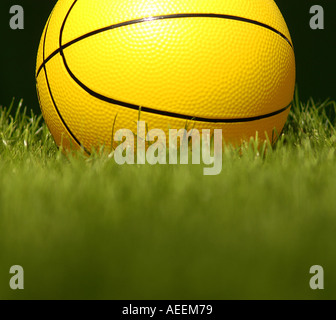 A Basketball Basketball auf dem Rasen. . Bild von Patrick Steel patricksteel Stockfoto