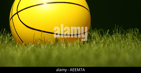 Basket ball Basketball auf dem Rasen. . Bild von Patrick Steel patricksteel Stockfoto