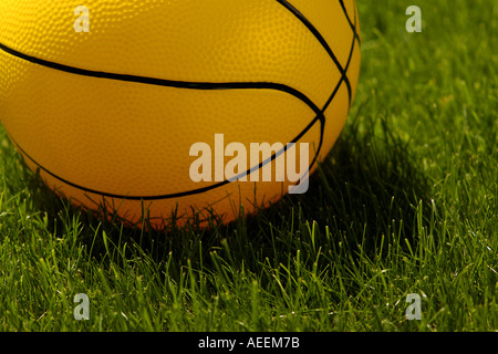 Ein Basketball auf dem Rasen. Bild von Patrick Stahl Stockfoto