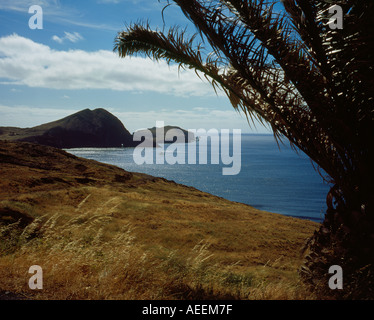 Landschaft der Landzunge Ponta de Sao Lourenco Madeira Portugal Europe. Foto: Willy Matheisl Stockfoto